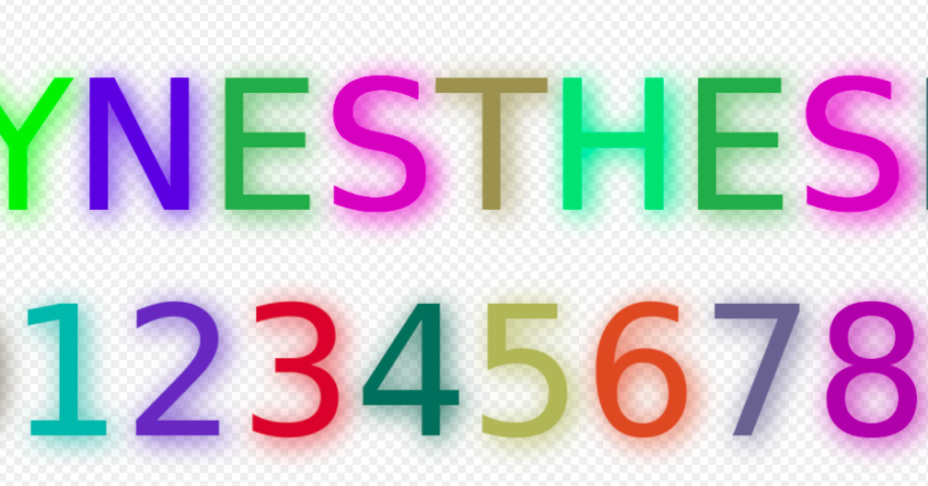 El día en que me comenzó a gustar el amarillo – Luli Delgado