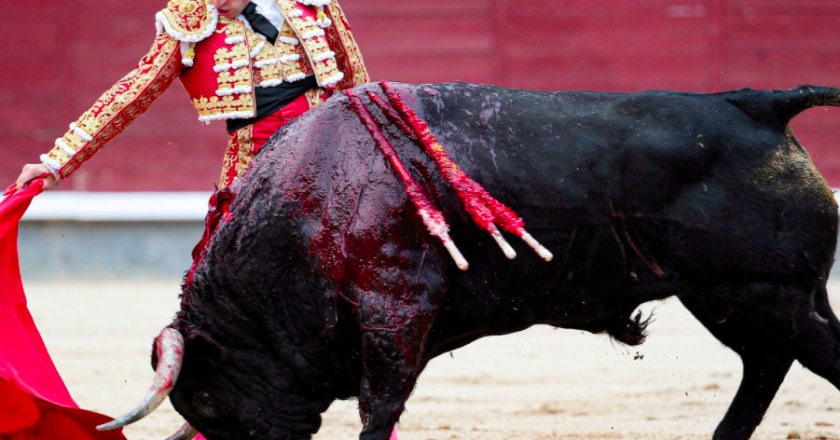 Los extraños juicios medievales 8