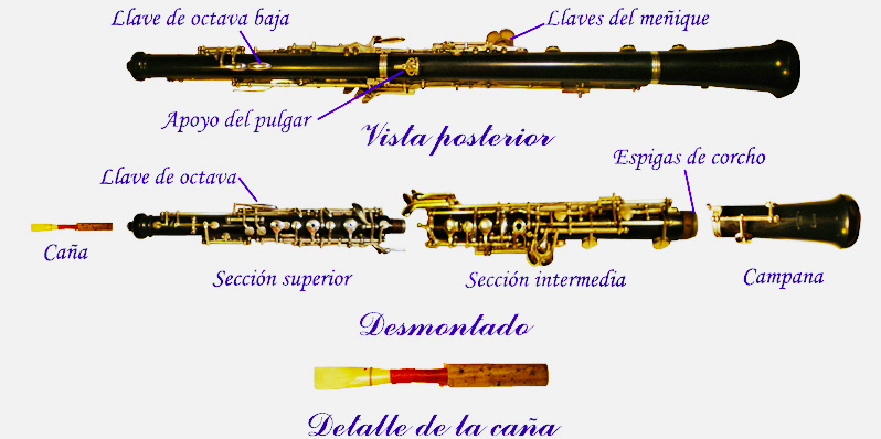 Componentes de un oboe