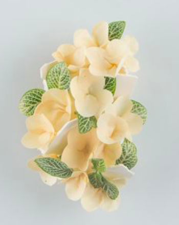 La flor amada de El Libertador, por  Mayte Navarro