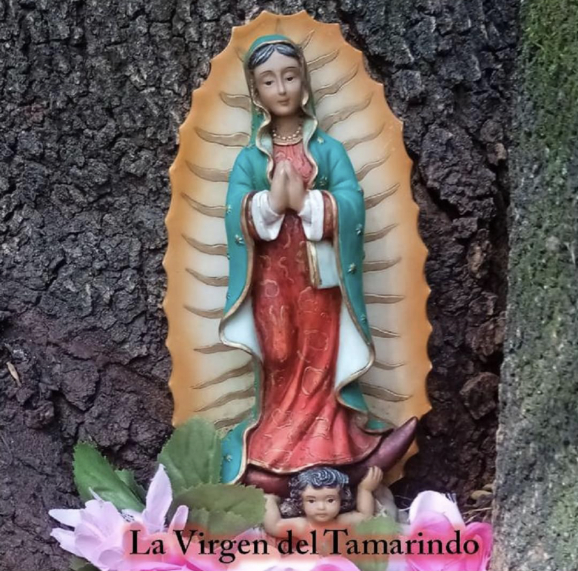 Virgen del Tamarindo