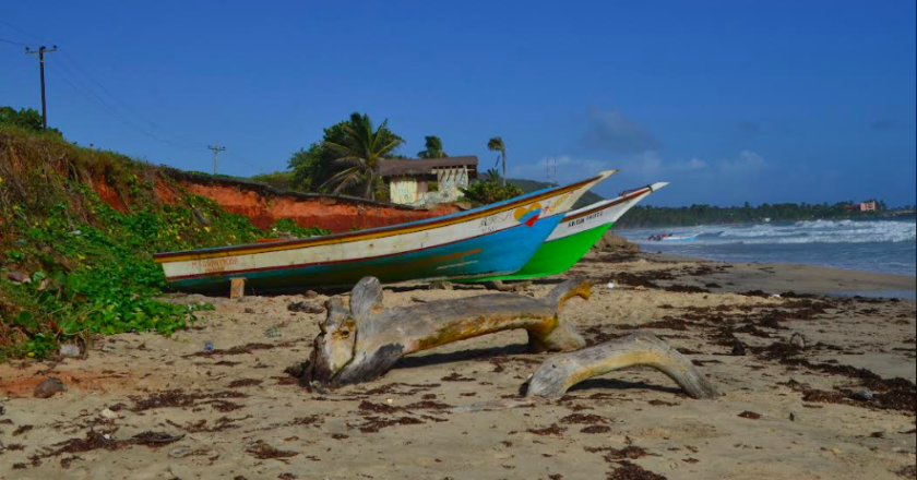 Benjamín Ortega Carrera