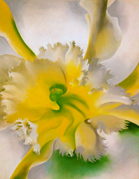 Orquídeas inmortales, por Lucy Gómez