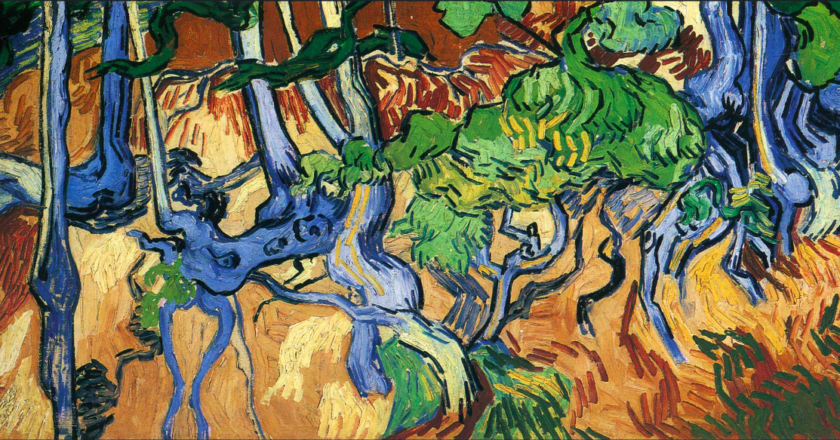 Plantas sabias, por Lucy Gómez