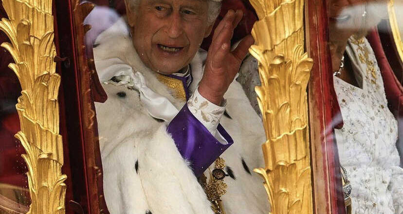 El desafío del rey, por Lucy Gómez