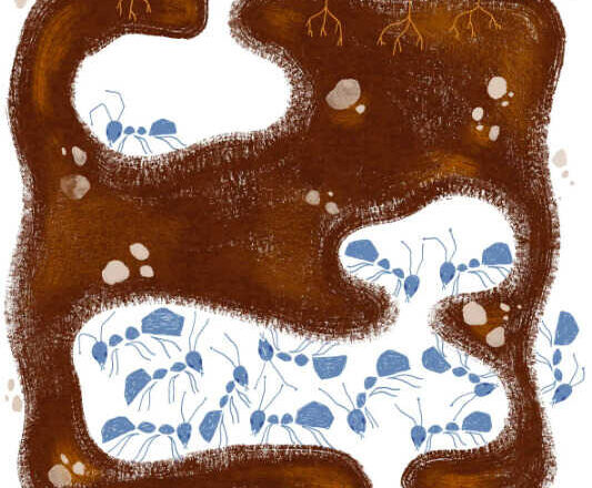 Las hormigas del universo, por Victorino Muñoz