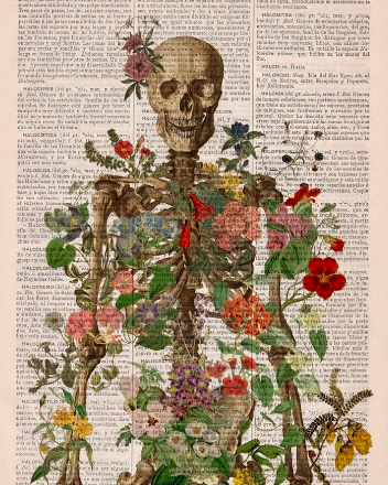 El doctor,<br/>por Luli Delgado