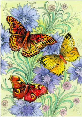 Por las mariposas,  por Lucy Gómez