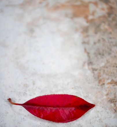 Pareidolia,<br/> por Luli Delgado