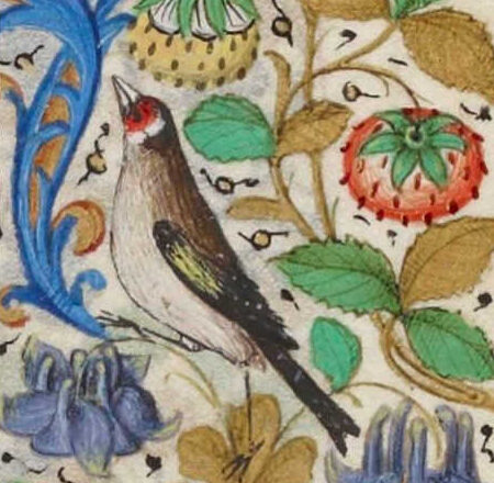 El canto del pájaro,<br/> por Leonor Henríquez