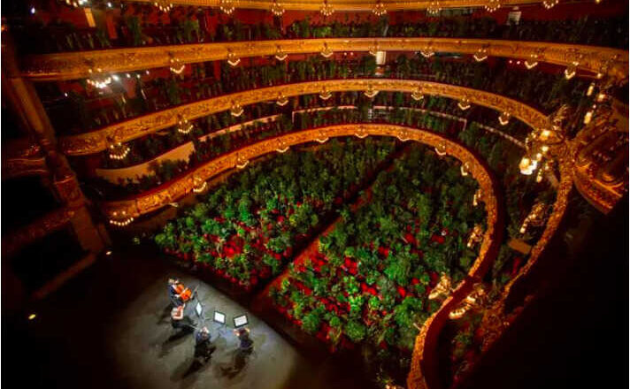 Música para plantas,<br/> por Lucy Gómez