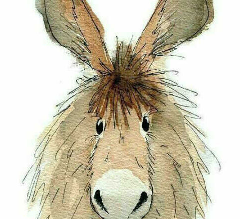 La ruta del burro,<br/> por Luli Delgado