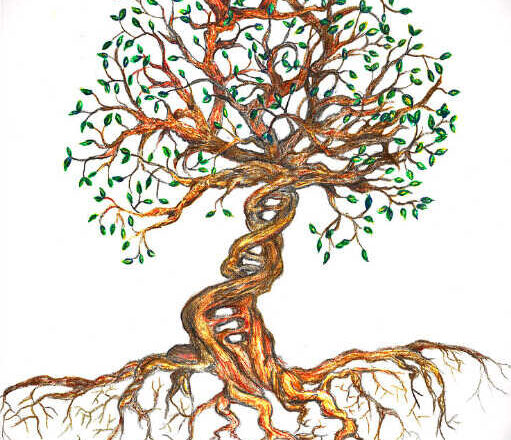 Epigenética,<br/> por Getulio Bastardo