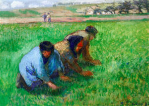 Las malas hierbas,  por Victorino Muñoz