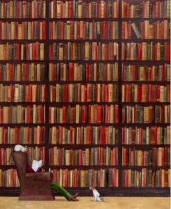 ¿Para qué tantos libros?, por Victorino Muñoz