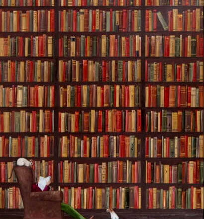 ¿Para qué tantos libros?,<br/> por Victorino Muñoz