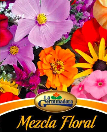 Tiempo de semillas,<br/> por Lucy Gómez