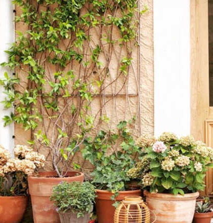 Cuando el jardín es el plan,<br/> por Lucy Gómez