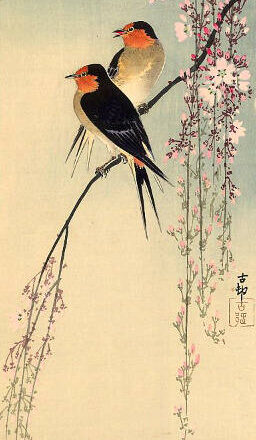 Shooting star,<br/> by Leonor Henríquez