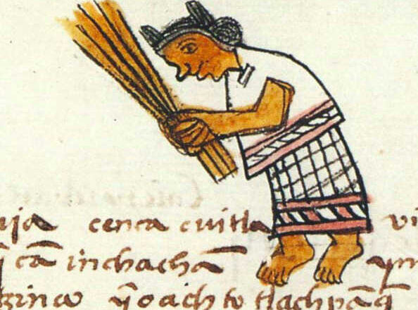 Escapando das vassouradas, por Alfredo Behrens