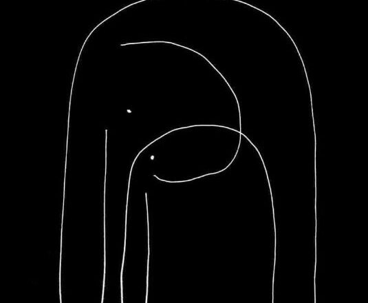 As rugas do elefante,<br/> por Alfredo Behrens