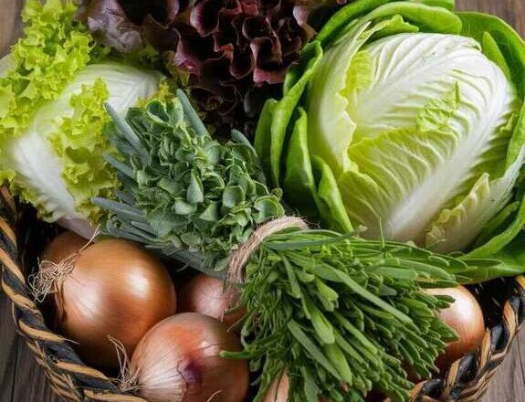 Tres plantas de frío,<br/> por Lucy Gómez