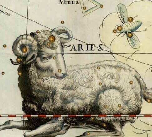 El mundo de Clara,<br>por Clara Ruiz