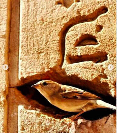 Entre la historia<br/> y el mito