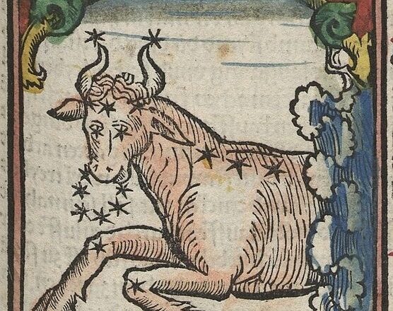 El mundo de Clara,<br> por Clara Ruiz