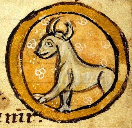 El mundo de Clara,<br> por Clara Ruiz