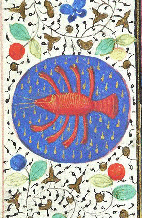 El mundo de Clara,<br/> por Clara Ruiz