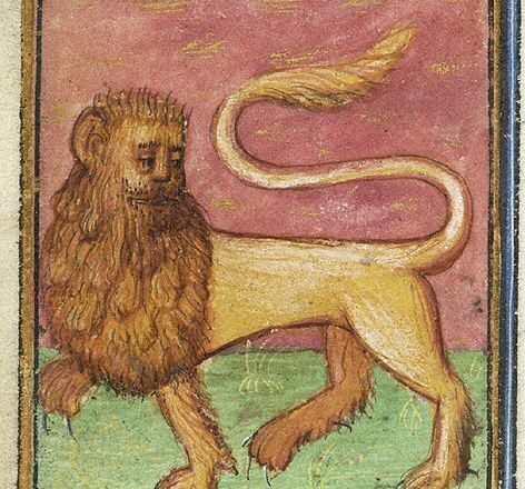 El mundo de Clara,<br/> por Clara Ruiz