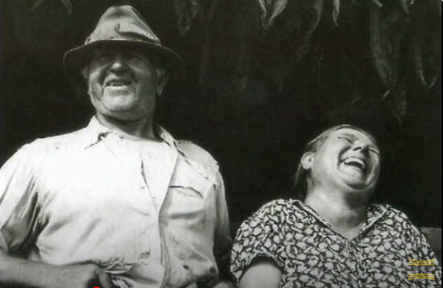 Cine Archivo BF Atril press