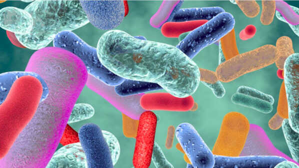 Microbiota,<br/> por Getulio Bastardo