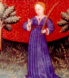 Virgo Atril press e1756951161303