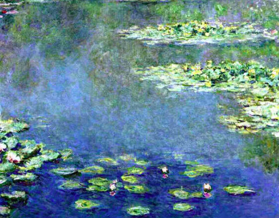 Nenúfar,<br/> por Lucy Gómez