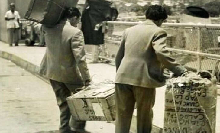 Italianos en Venezuela,<br/> por Soledad Morillo Belloso