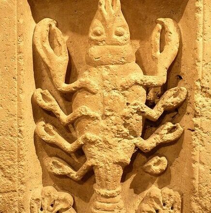 El mundo de Clara,<br/> por Clara Ruiz