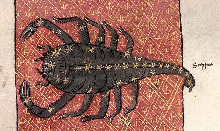 El mundo de Clara,<br/> por Clara Ruiz