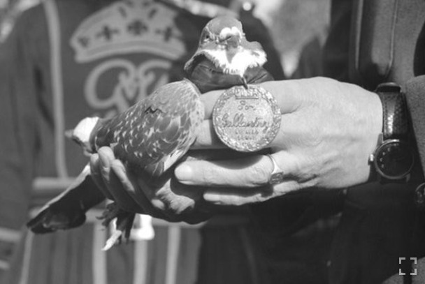 G.I. Joe Atril press