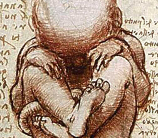 Semillas,<br/> por Leonor Henríquez