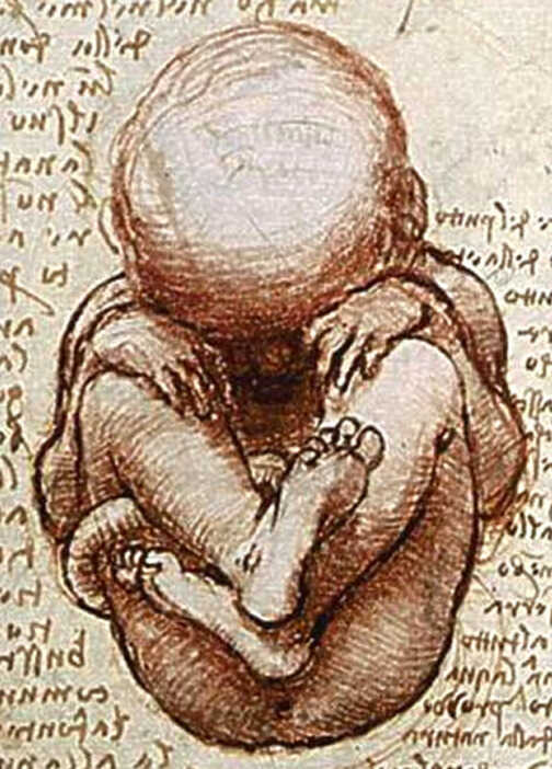 Semillas,<br/> por Leonor Henríquez 1 Leonardo da VINCI Atril press