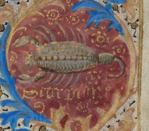 El mundo de Clara,<br/> por Clara Ruiz