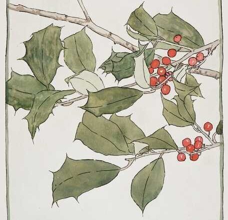 Acebo,<br/> por Lucy Gómez