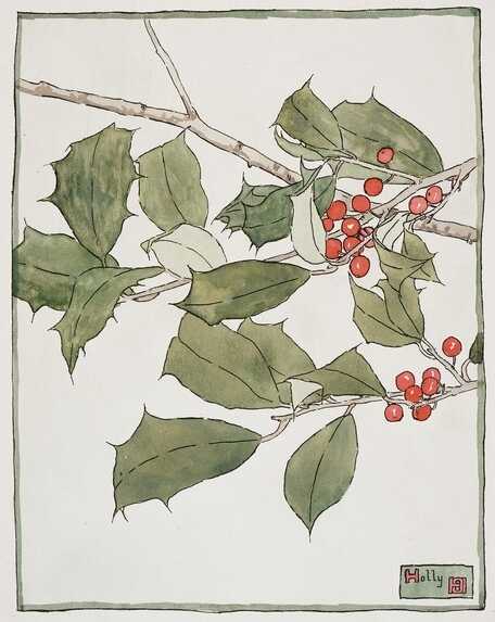 Acebo, por Lucy Gómez