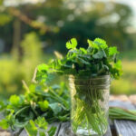 Te quiero verde,<br/> por Jeraige Reinoso