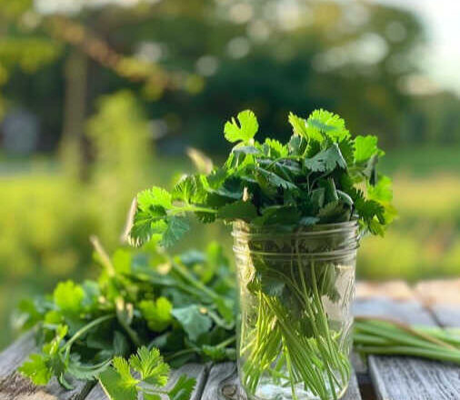 Te quiero verde,<br/> por Jeraige Reinoso