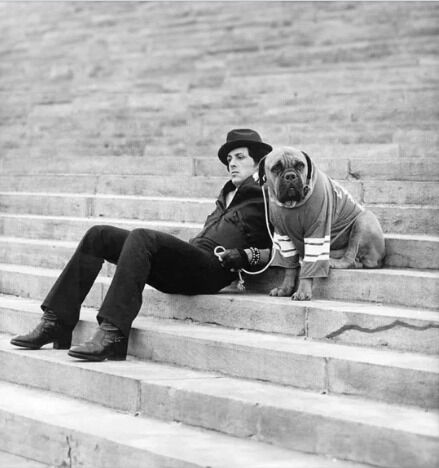 Silvester Stallone Atril press