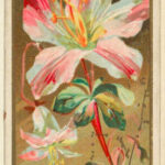 Azaleas,<br/> por Lucy Gómez