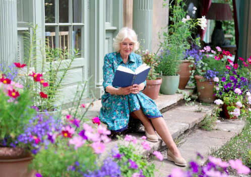 Camilla y los libros,<br/> por Mayte Navarro 1 Raina Camila Atril press